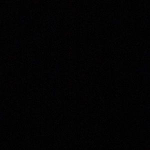 Meet your Posher, Deondre